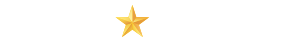 houston chronical logo