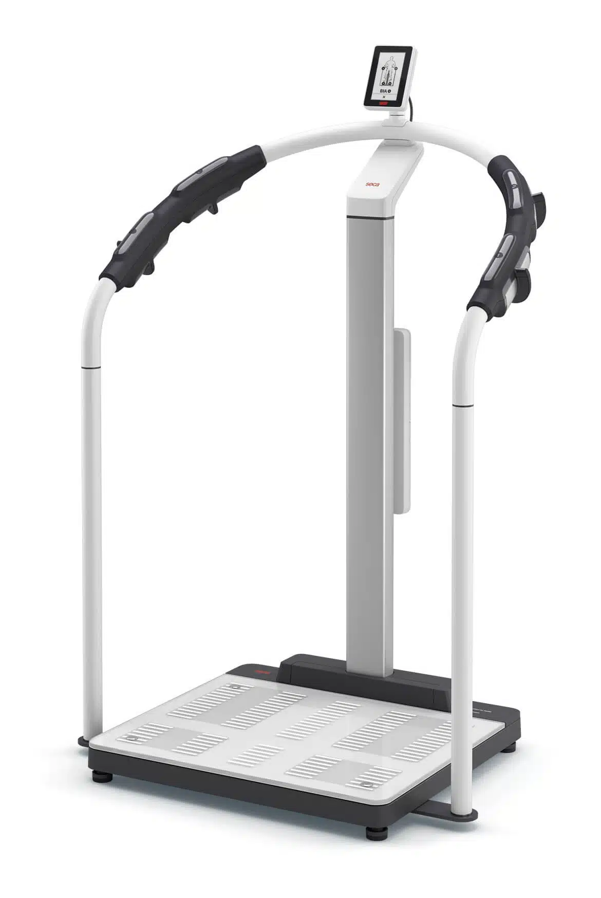 SECA body composition scale