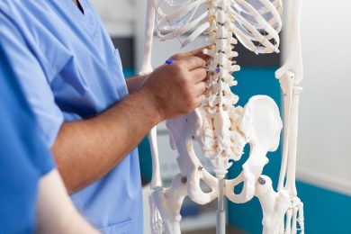 A doctor points to a model of the human skeleton's spine and back areas.